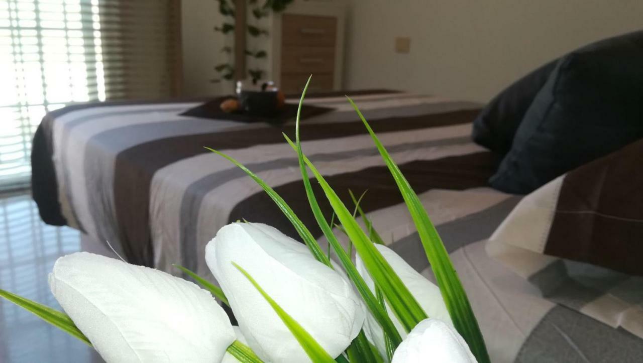 波多黎各Beautiful Duplex With Jacuzzi别墅 外观 照片